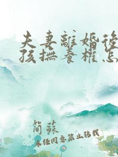 夫妻离婚后两小孩抚养权怎争取