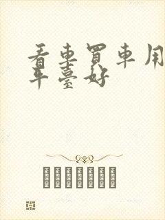 看车买车用什么平台好