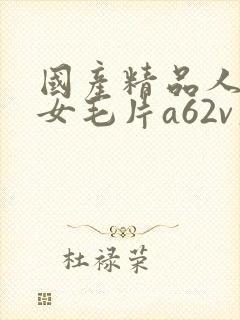 国产精品人妻熟女毛片a62v久久