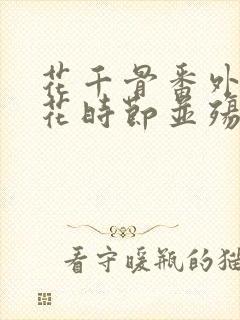 花千骨番外之落花时节并殇城