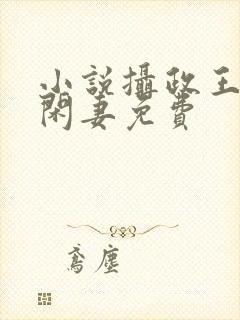 小说摄政王的小闲妻免费