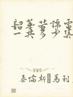 韶华若锦电视剧一共多少集