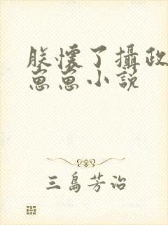 朕怀了摄政王的崽崽小说