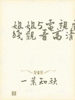 姐姐5电视剧在线观看高清免费版