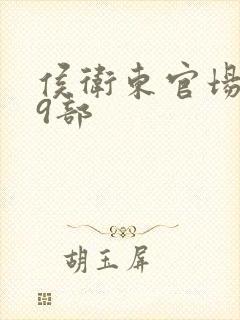 侯卫东官场笔记9部