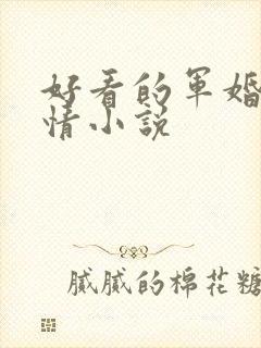 好看的军婚类言情小说