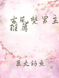 古风双男主小说推荐