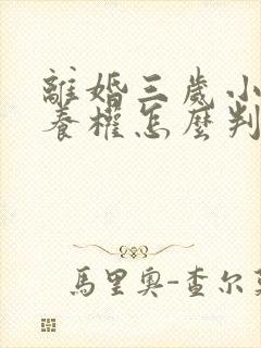 离婚三岁小孩抚养权怎么判定