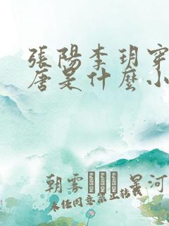 张阳李玥穿越大唐是什么小说名字