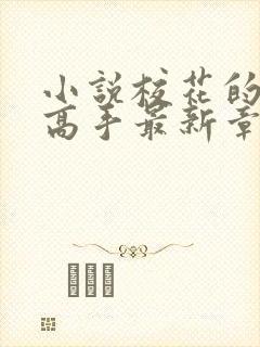 小说校花的贴身高手最新章节下载