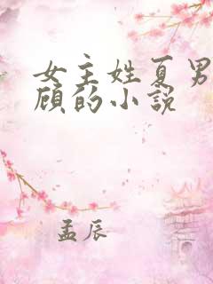 女主姓夏男主姓顾的小说