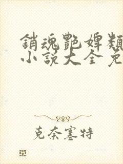 销魂艳婢类似的小说大全免费阅读