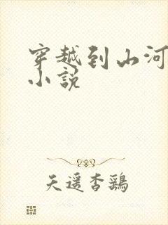 穿越到山河令的小说