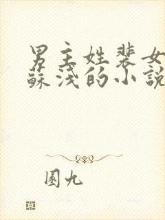 男主姓裴女主叫苏浅的小说