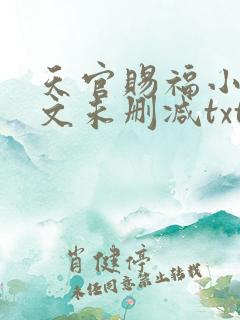 天官赐福小说全文未删减txt