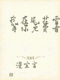 我在风花雪月里等你免费看