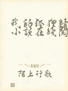 我的狐狸精后妈小说在线阅读