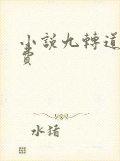 小说九转道经免费