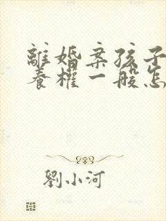 离婚案孩子的抚养权一般怎么判