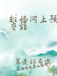 离婚网上预约怎么能