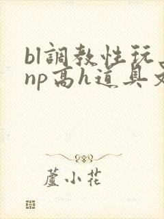 bl调教性玩具np高h道具文