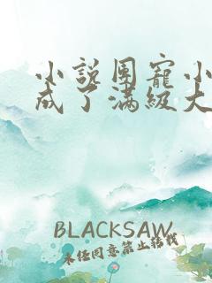 小说团宠小可爱成了满级大佬txt