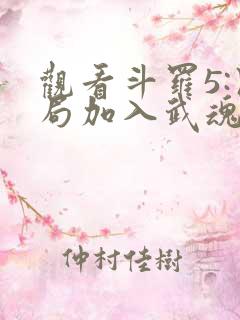 观看斗罗5:开局加入武魂殿小说