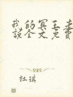 我的冥王老公小说全文免费阅读