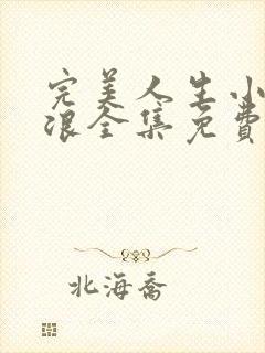 完美人生小说沈浪全集免费阅读