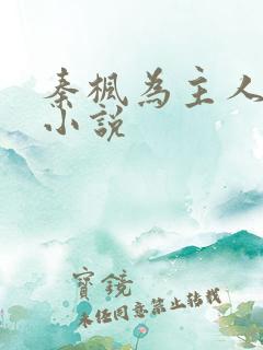 秦枫为主人公的小说