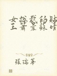 女总裁的贴身兵王萧晨苏晴