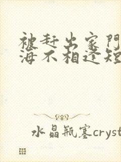 被赶出家门后山海不相逢短剧70