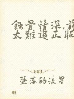 蚀骨情深,前妻太难追正版