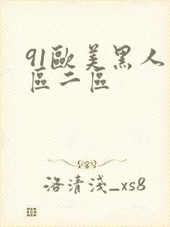 91欧美黑人一区二区