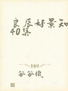 良辰好景知几何40集