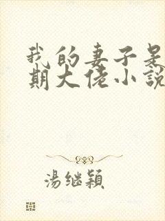 我的妻子是大乘期大佬小说版