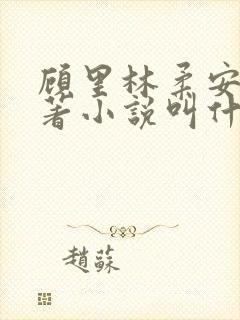 顾里林柔安心原著小说叫什么名字