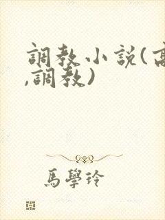 调教小说(高h,调教)
