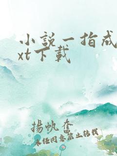 小说一指成仙txt下载