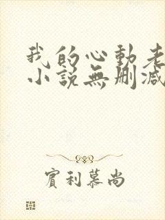我的心动老板娘小说无删减版