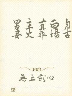 男主有白月光追妻火葬场古言