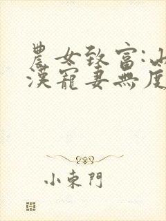 农女致富:山里汉宠妻无度小说