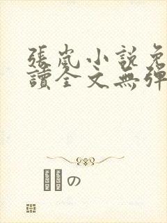 张岚小说免费阅读全文无弹窗