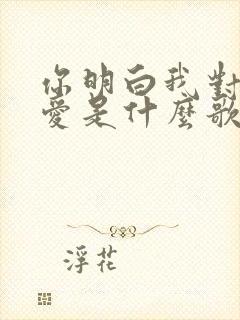 你明白我对你的爱是什么歌