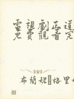 电视剧正道无敌免费观看完整版