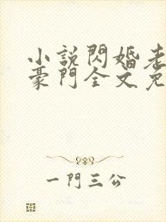 小说闪婚老公是豪门全文免费阅读