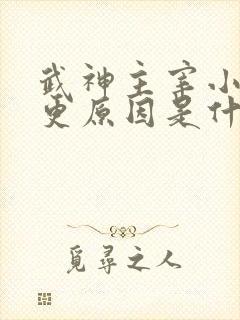 武神主宰小说停更原因是什么