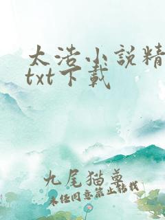 太浩小说精校版txt下载