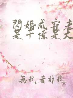 闪婚成宠老公竟是千亿是大佬