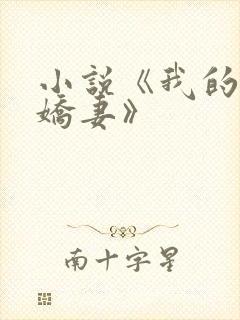 小说《我的极品娇妻》